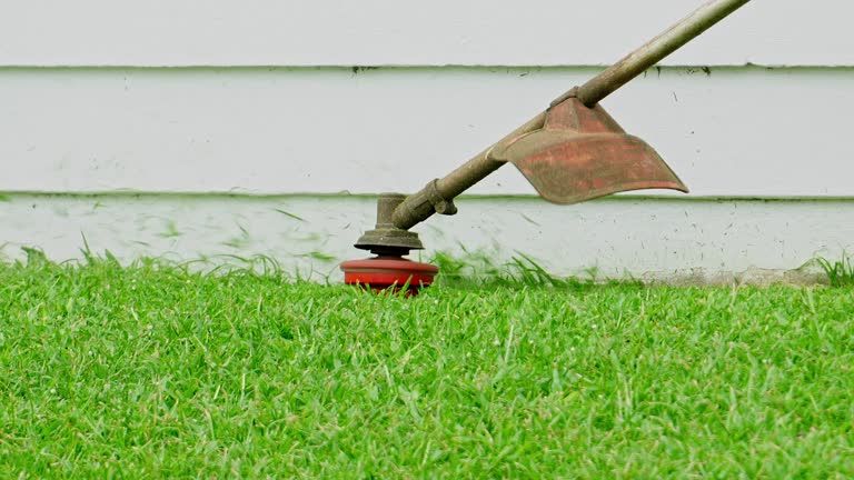 Best Lawn Irrigation Installation and Maintenance  in Oran, MO